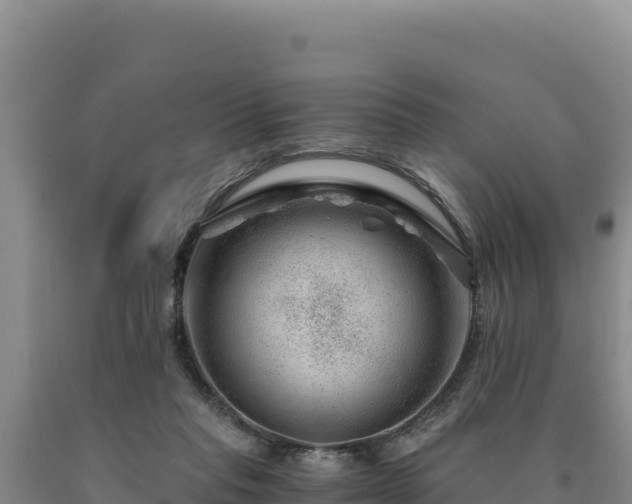 X0000090720261200707271159