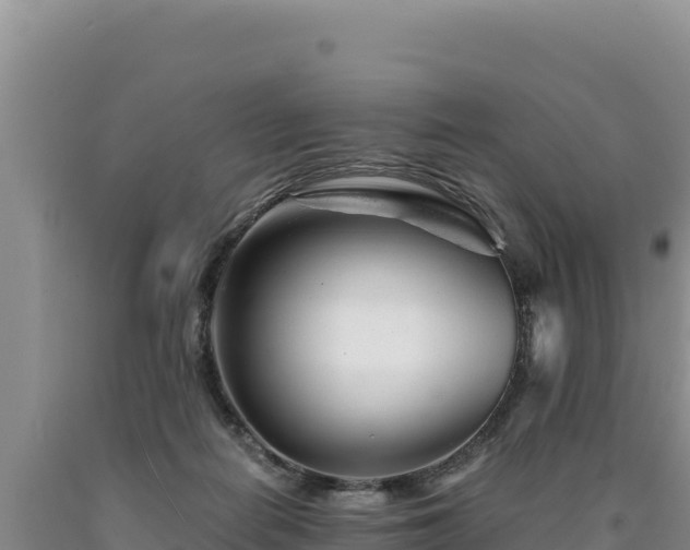 X0000090720266200707271159