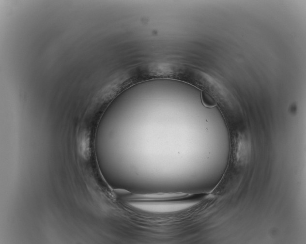 X0000090720267200707271159