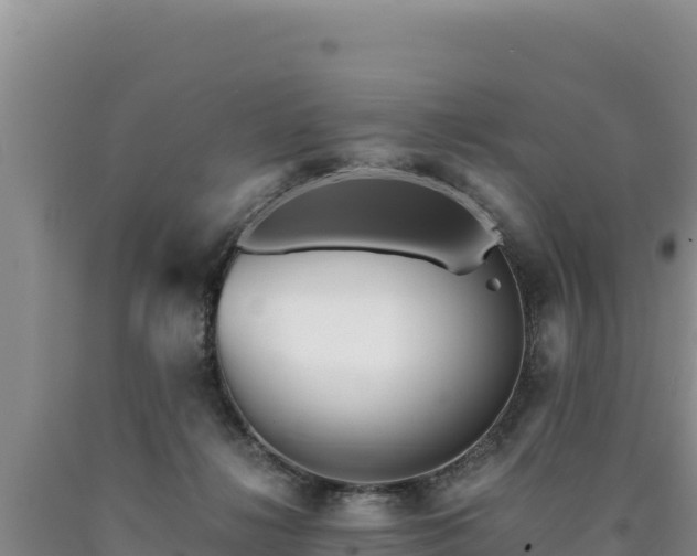 X0000090720268200707271159