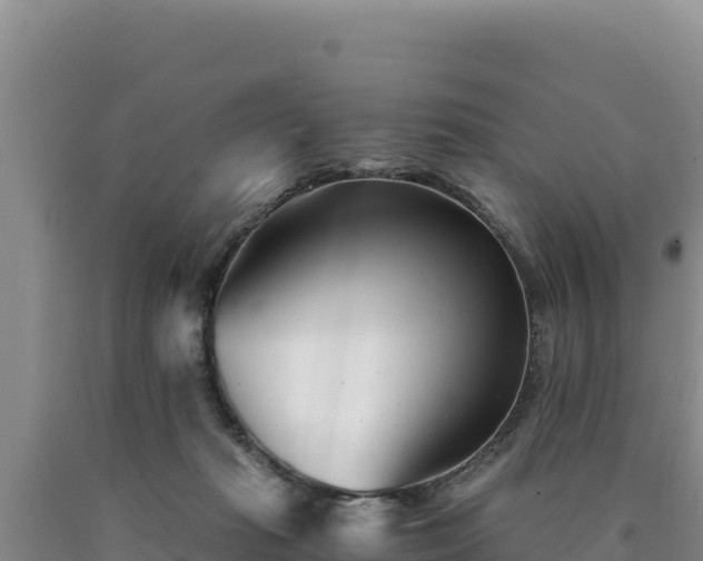 X0000090720269200707271159