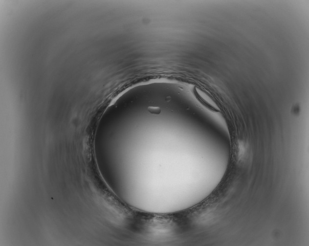 X0000090720270200707271159