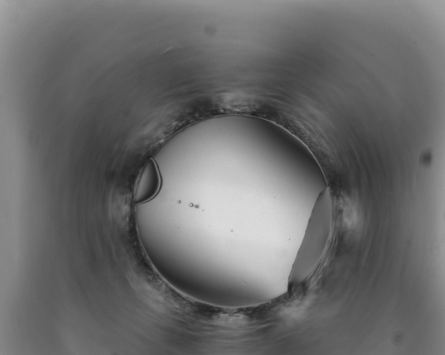 X0000090720271200707271159