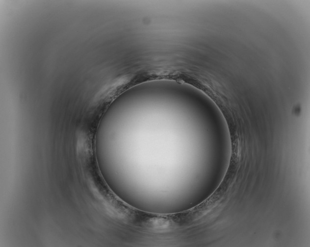 X0000090720272200707271159