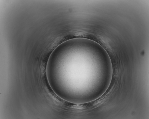 X0000090720273200707271159