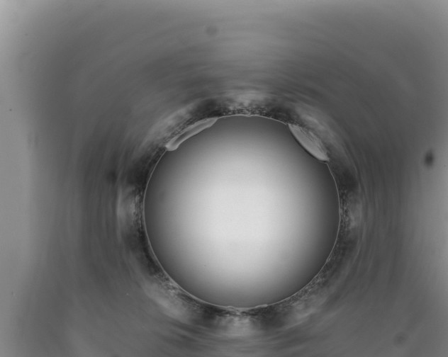 X0000090720276200707271159
