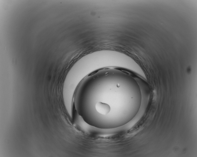 X0000090720280200707271159