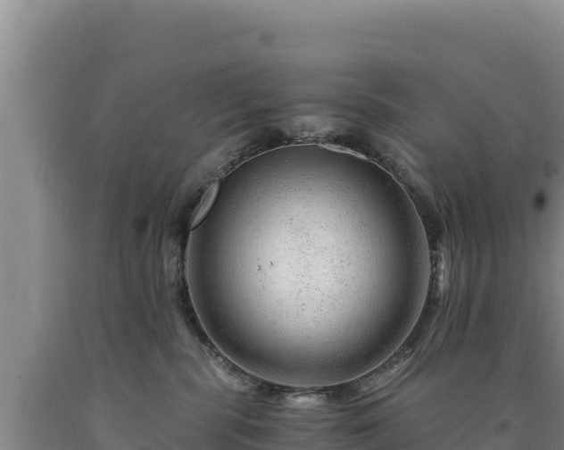 X0000090720283200707271159
