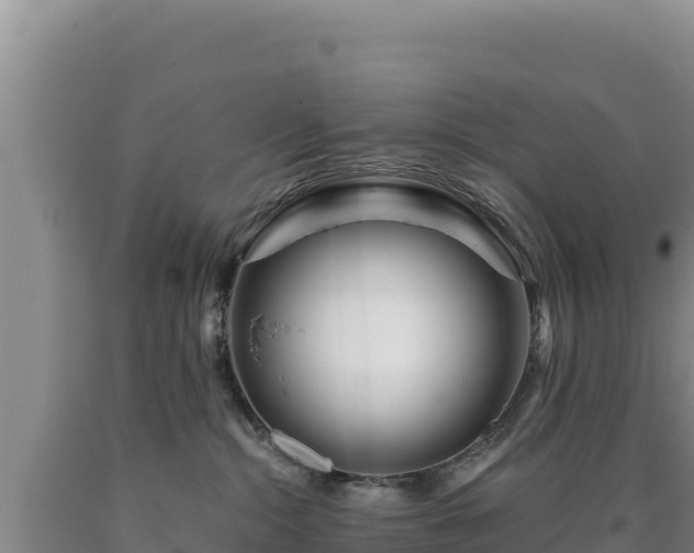 X0000090720284200707271159