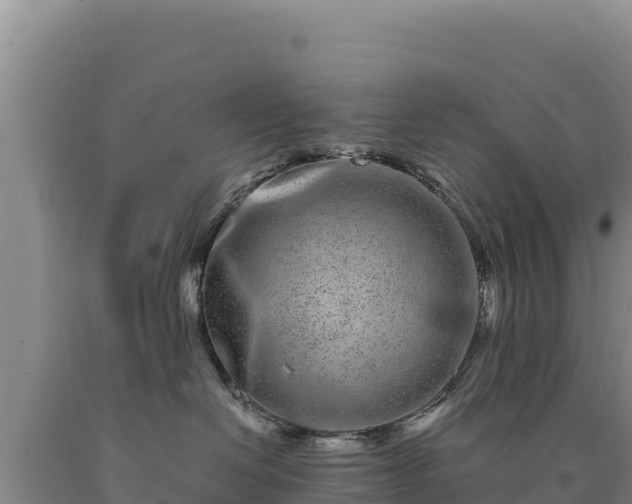 X0000090720286200707271159