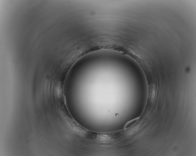 X0000090720287200707271159