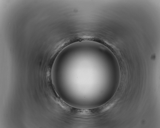X0000090720288200707271159