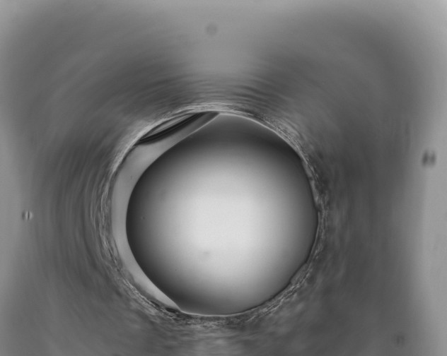 X0000090720289200707271158
