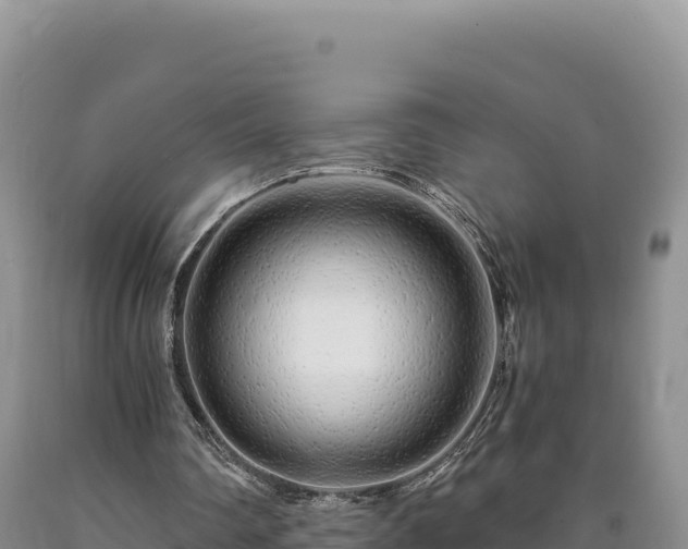 X0000090720290200707271158