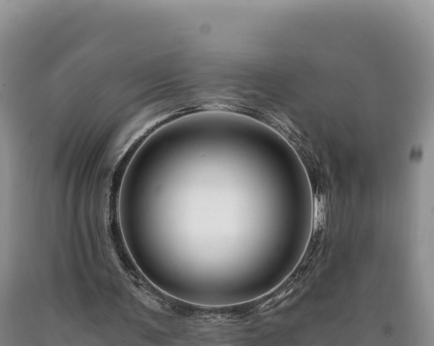 X0000090720291200707271158