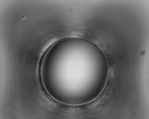 X0000090720292200707271158