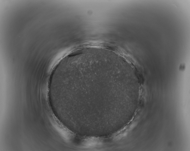X0000090720293200707271158