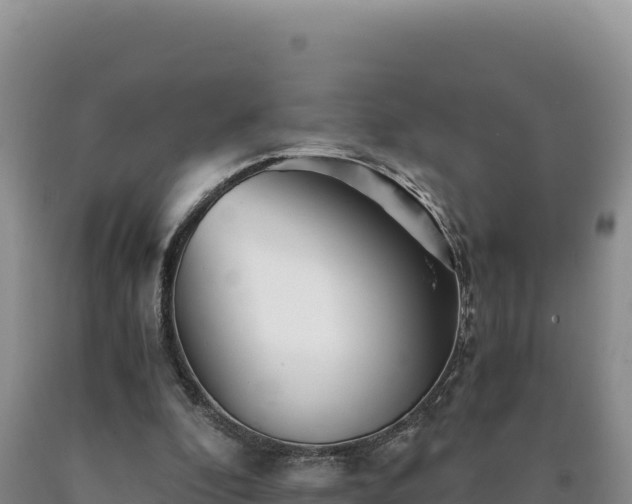 X0000090720296200707271158
