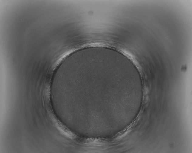 X0000090720297200707271158