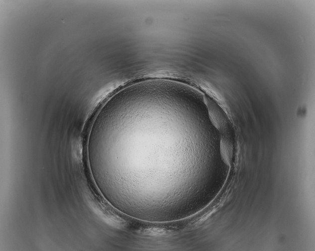X0000090720298200707271158