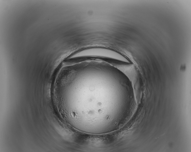 X0000090720299200707271158