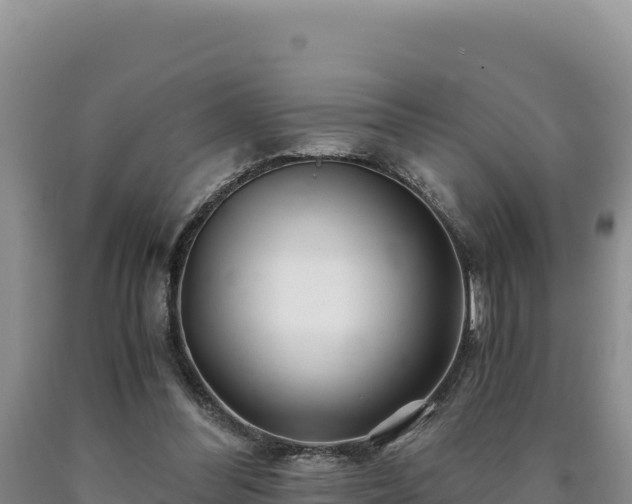 X0000090720300200707271158