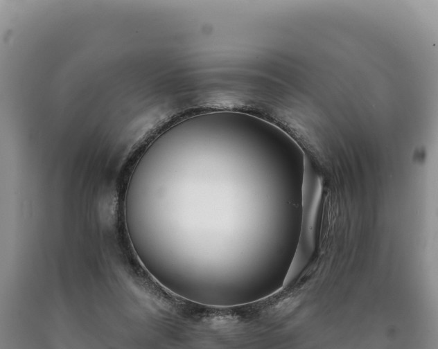 X0000090720304200707271158
