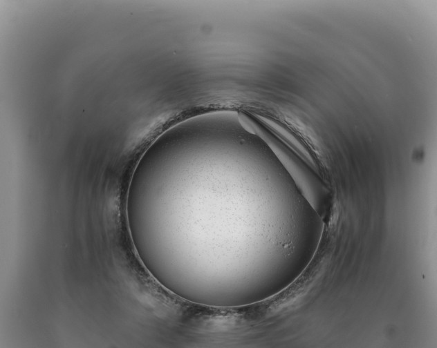 X0000090720306200707271158