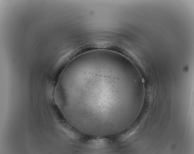 X0000090720307200707271158