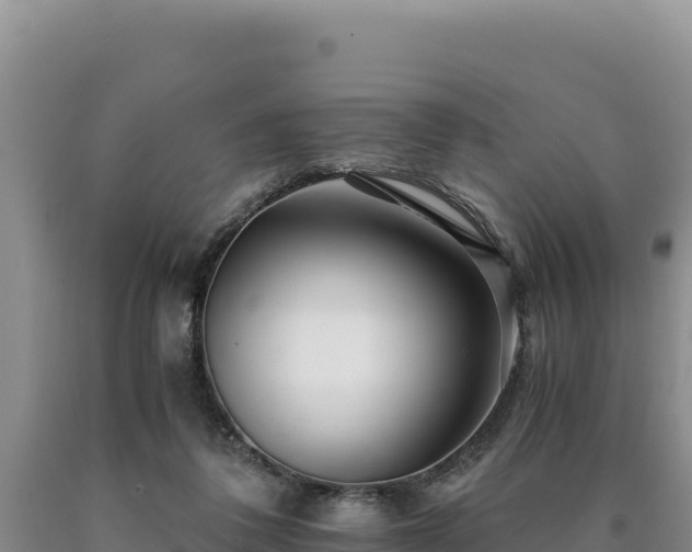 X0000090720308200707271158