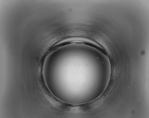 X0000090720309200707271158