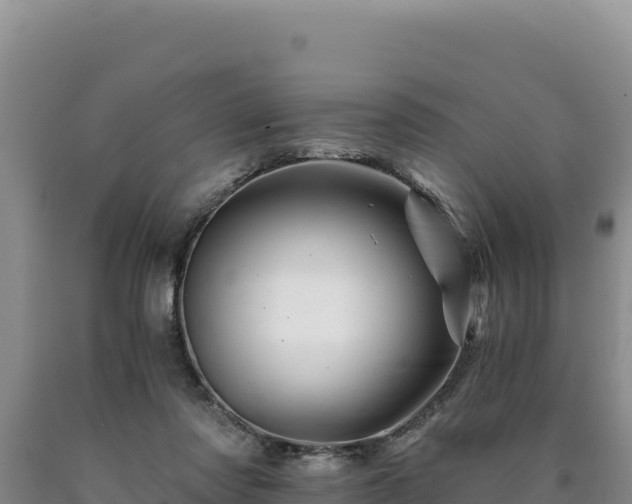 X0000090720310200707271158