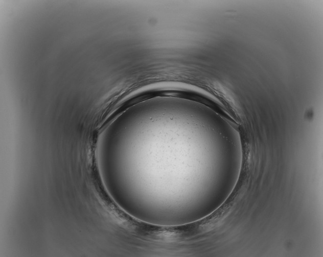 X0000090720313200707271158
