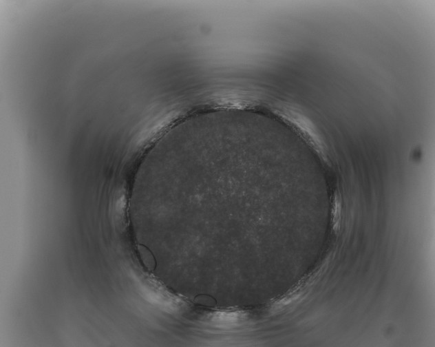 X0000090720314200707271158