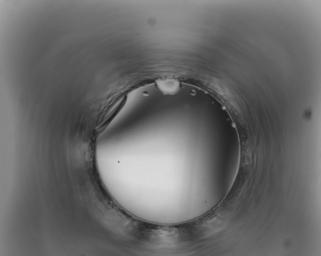 X0000090720317200707271158