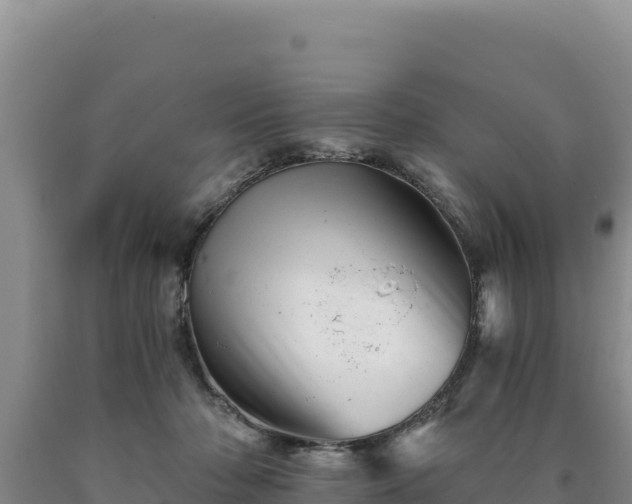 X0000090720318200707271158
