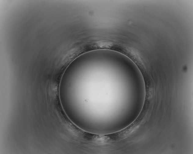 X0000090720321200707271158