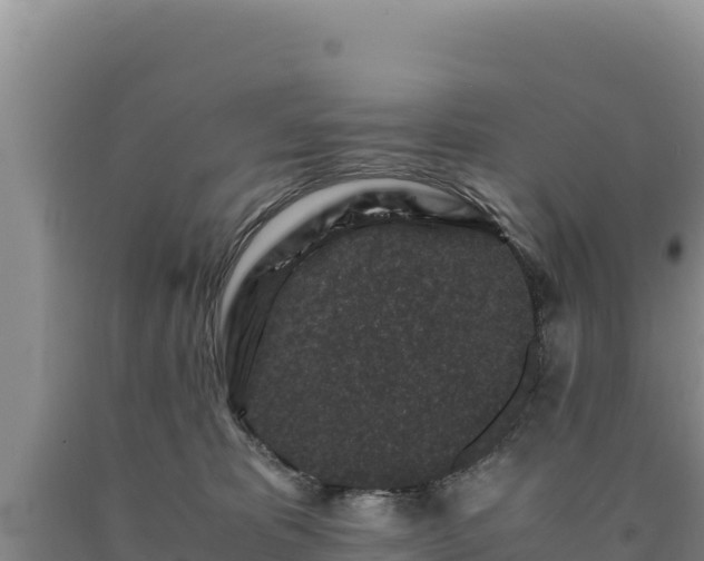 X0000090720325200707271158