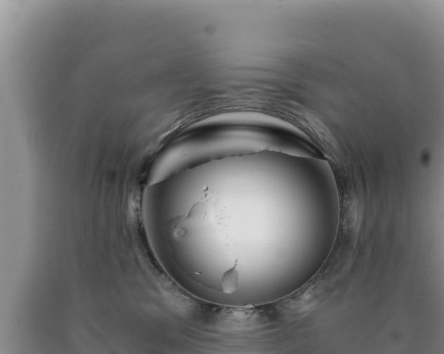 X0000090720329200707271158