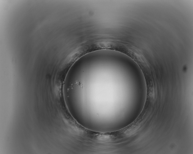 X0000090720332200707271158