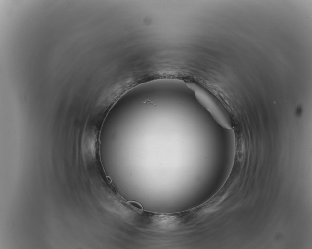X0000090720334200707271158