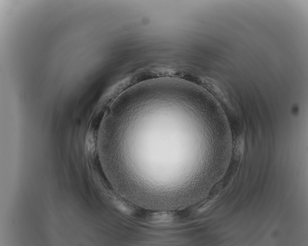 X0000090720335200707271158