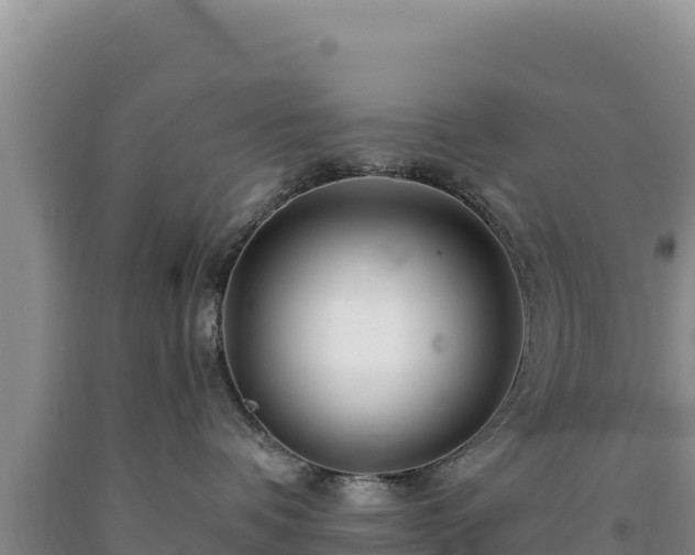 X0000090720336200707271158