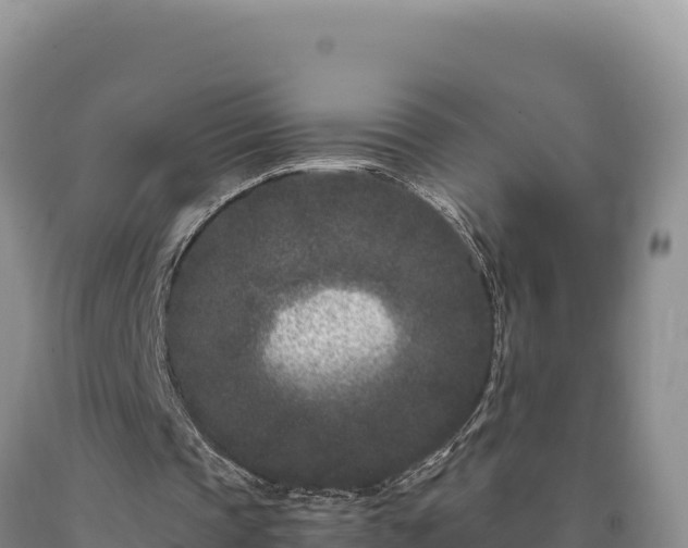 X0000090720337200707271157