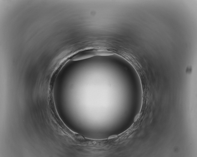 X0000090720338200707271157