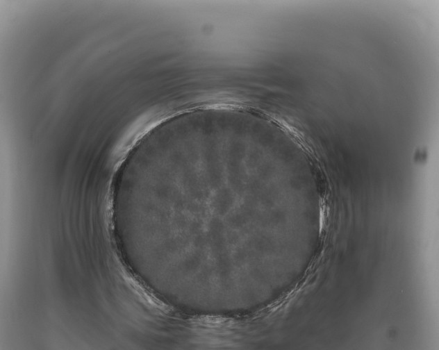 X0000090720339200707271157