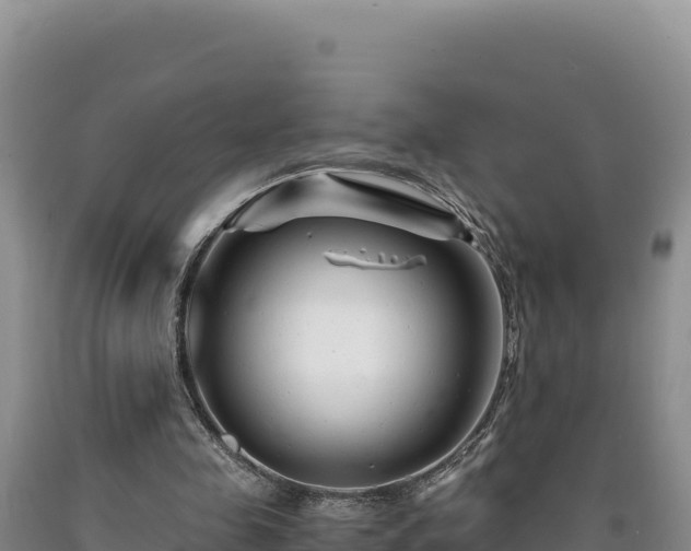 X0000090720341200707271157