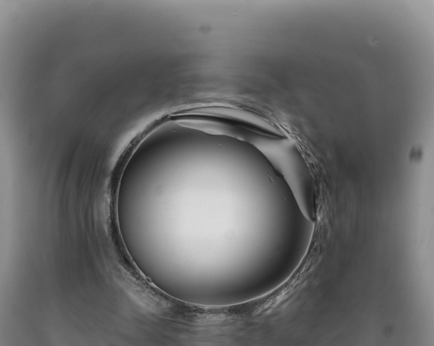 X0000090720342200707271157
