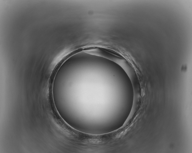 X0000090720344200707271157