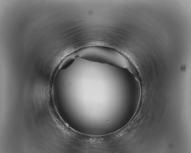 X0000090720345200707271157
